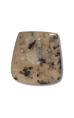 Montana Dendritic Agate