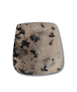 Montana Dendritic Agate