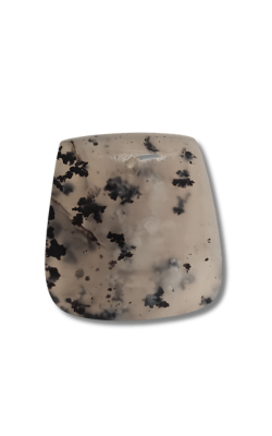 Montana Dendritic Agate